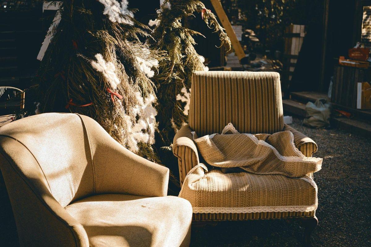 Two worn upholstered armchairs in afternoon sun